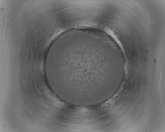 X0000089700249200706211325