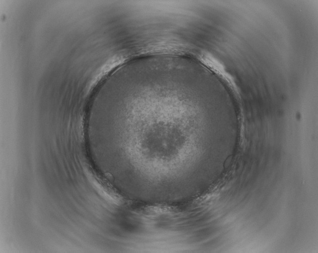 X0000089700250200706211325