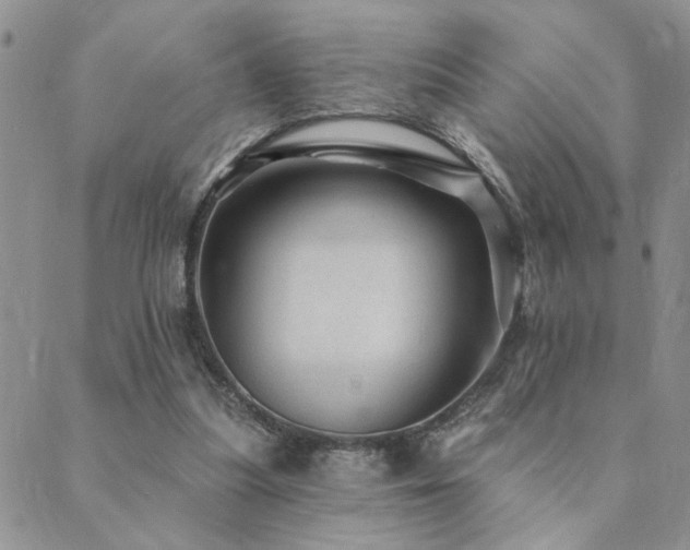 X0000089700251200706211325