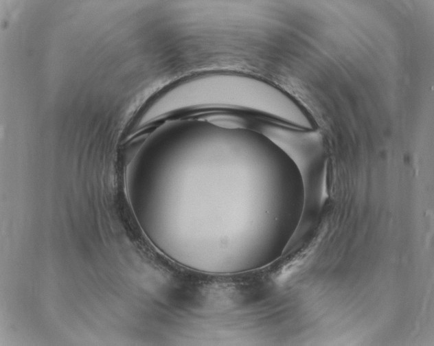 X0000089700252200706211325