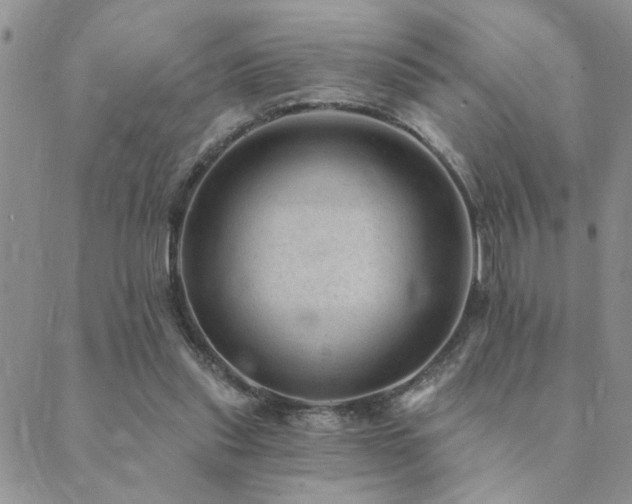 X0000089700253200706211325