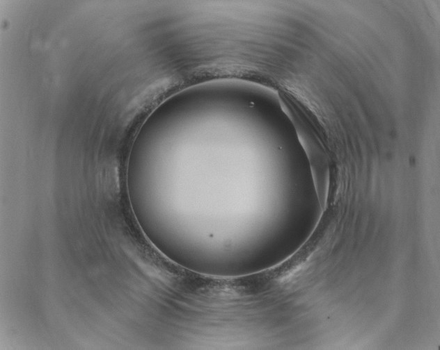 X0000089700254200706211325