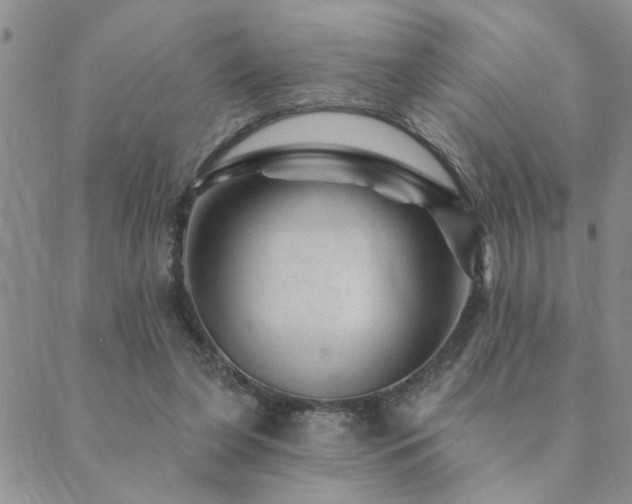 X0000089700255200706211325