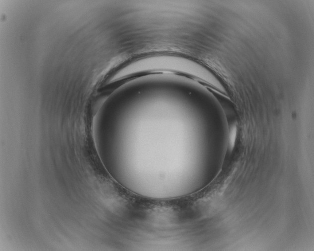 X0000089700256200706211325