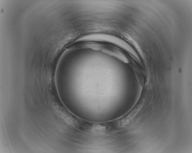 X0000089700257200706211325