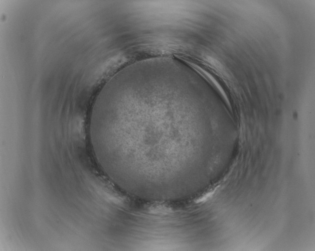 X0000089700258200706211325