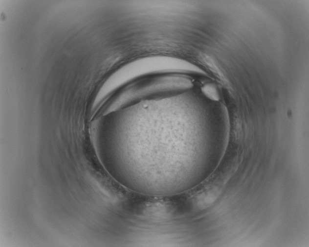 X0000089700259200706211325