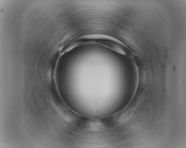 X0000089700262200706211325