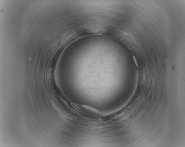 X0000089700263200706211325