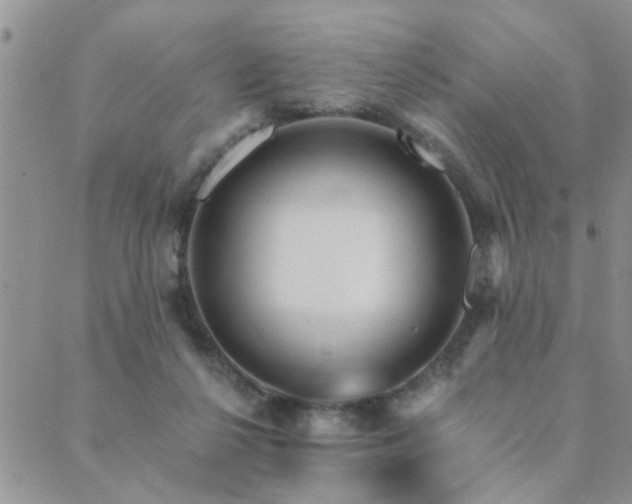 X0000089700264200706211325