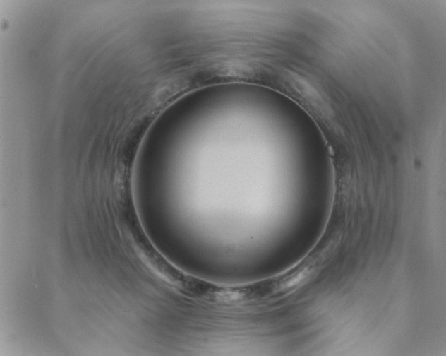 X0000089700265200706211325