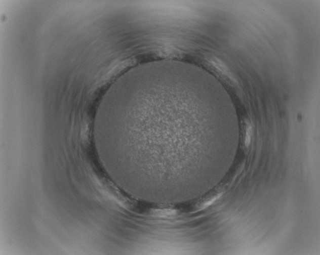 X0000089700266200706211325