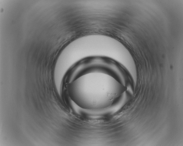 X0000089700268200706211325