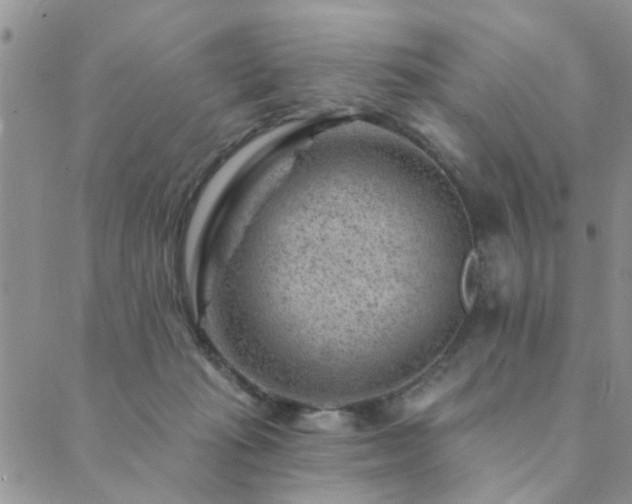 X0000089700269200706211325