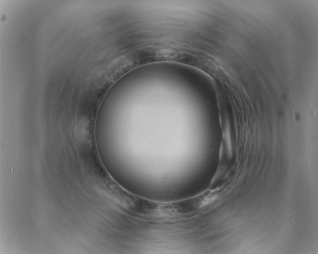 X0000089700270200706211325