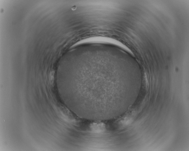 X0000089700271200706211325