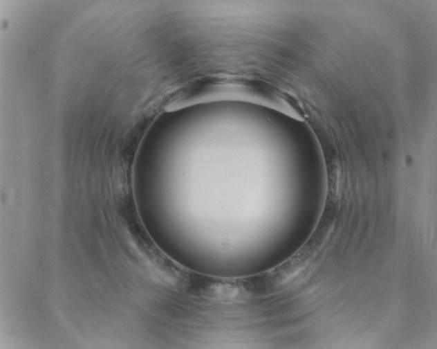 X0000089700272200706211326