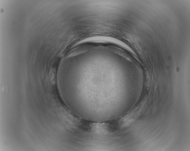 X0000089700273200706211326