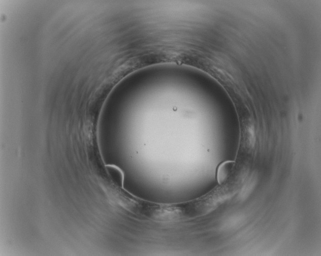 X0000089700274200706211326