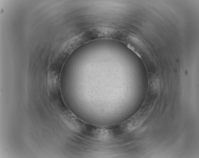 X0000089700276200706211326