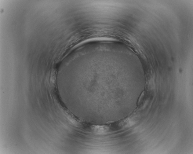 X0000089700277200706211326