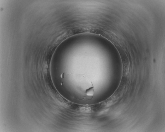 X0000089700279200706211326