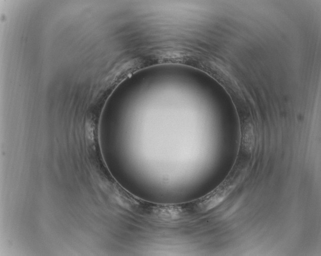 X0000089700282200706211326