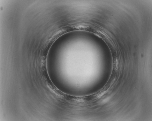 X0000089700284200706211326