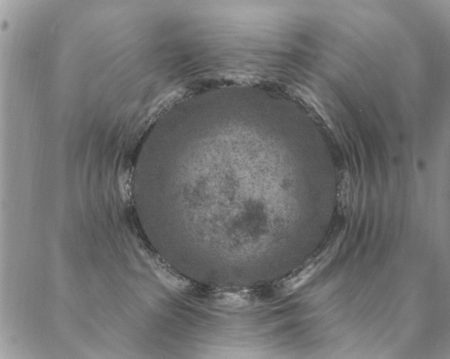 X0000089700285200706211326