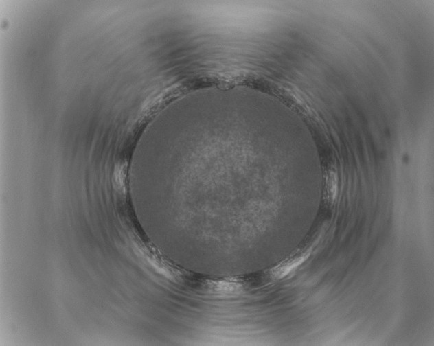 X0000089700286200706211326