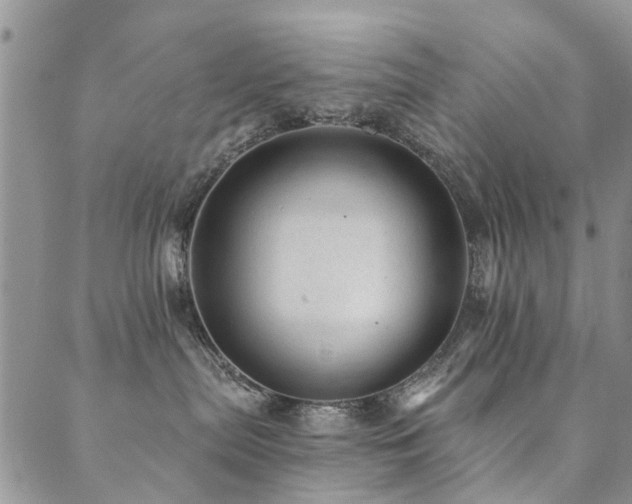 X0000089700287200706211326