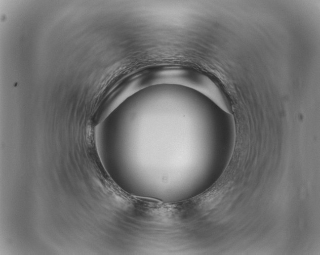 X0000089700288200706211326