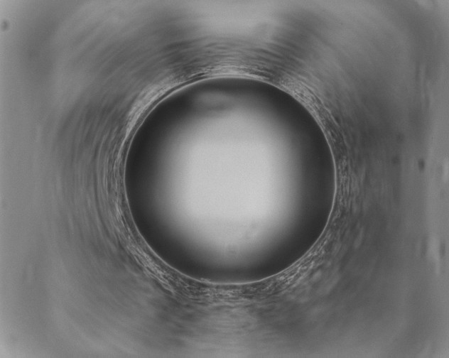 X0000089700289200706211325