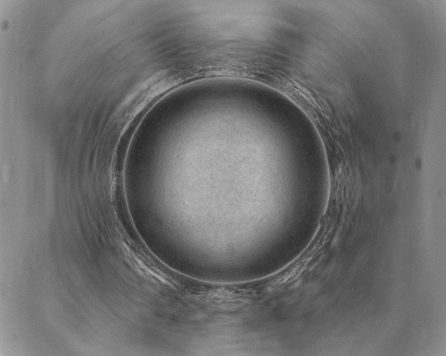 X0000089700290200706211325