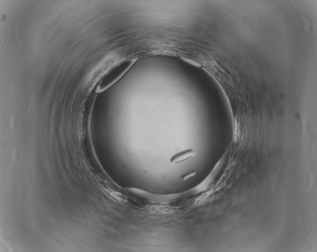 X0000089700291200706211325