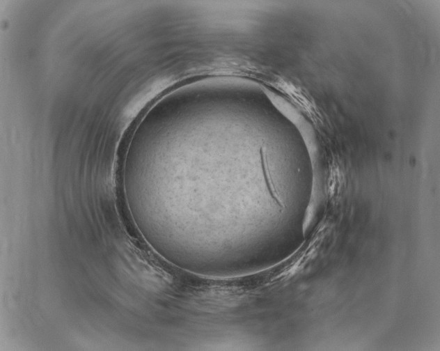 X0000089700292200706211325