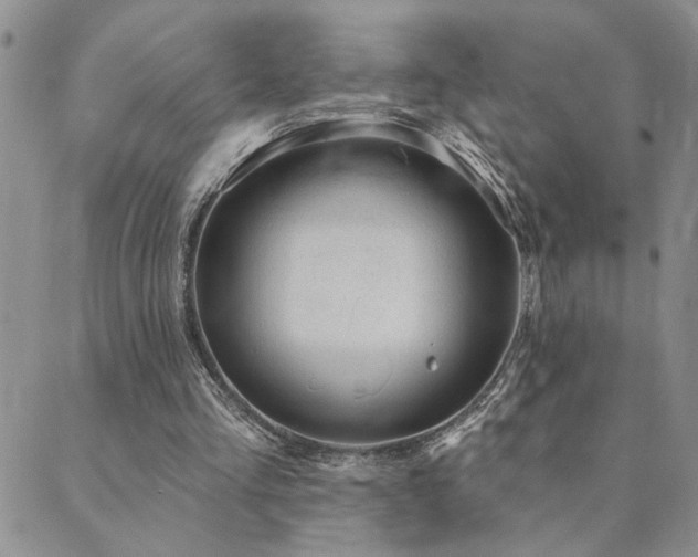 X0000089700293200706211325