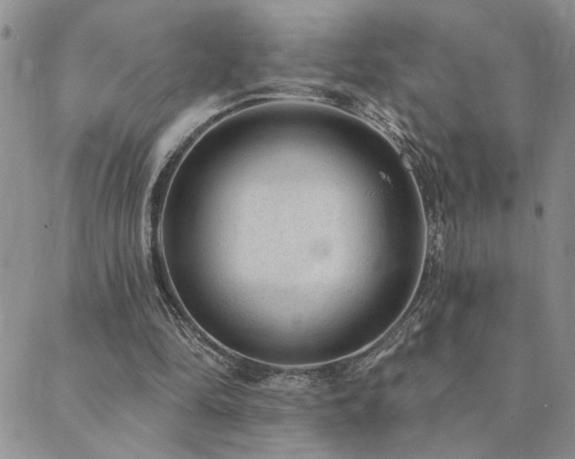 X0000089700294200706211325