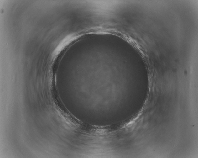 X0000089700295200706211325