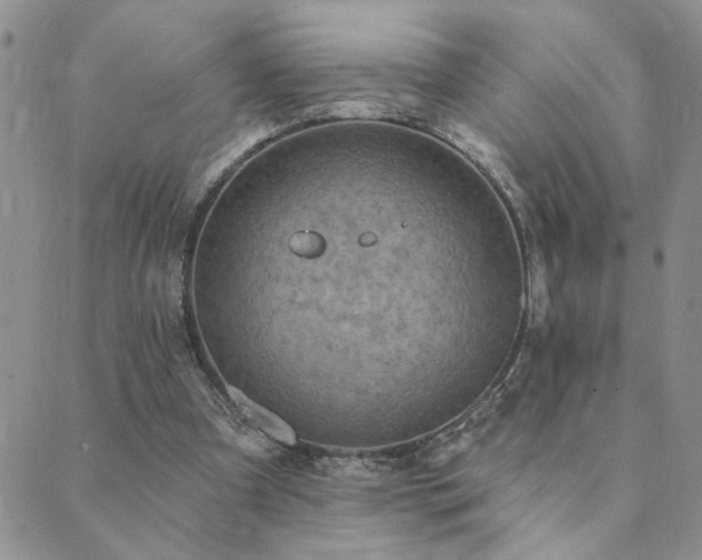 X0000089700297200706211325