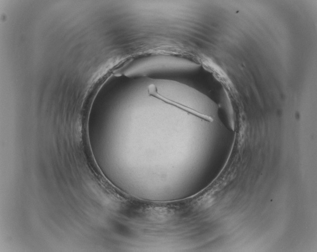 X0000089700298200706211325