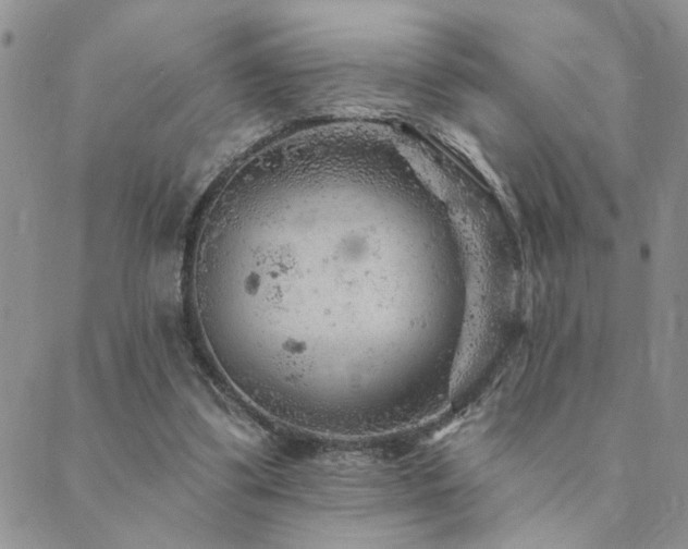 X0000089700299200706211325