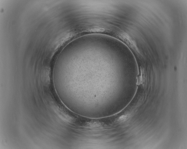 X0000089700300200706211325