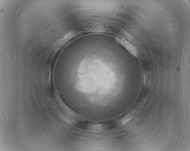 X0000089700301200706211325