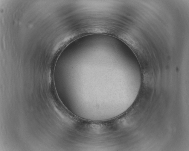 X0000089700302200706211325