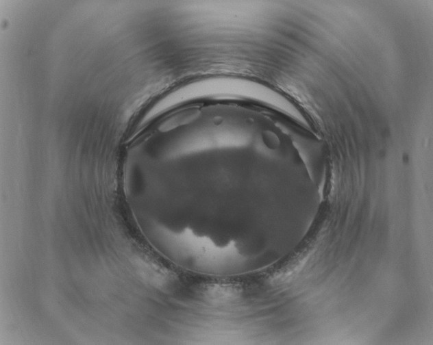 X0000089700303200706211325