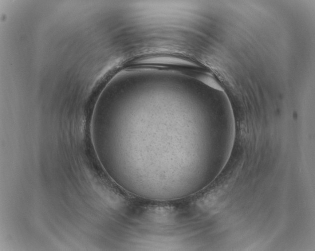 X0000089700304200706211325