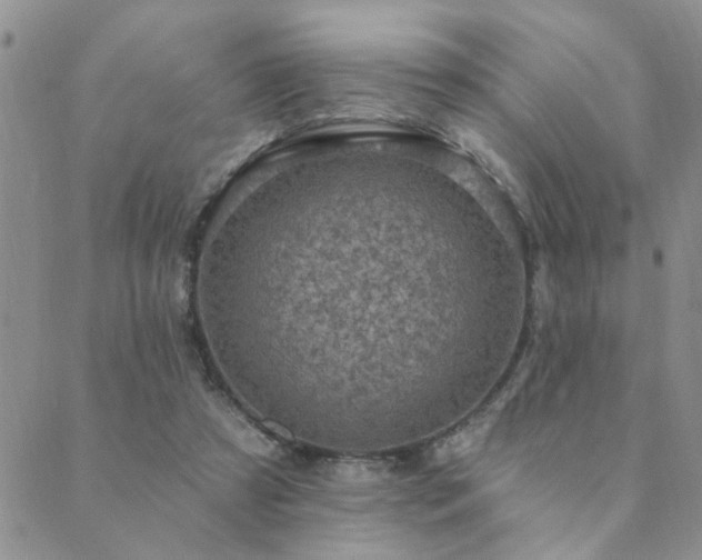 X0000089700305200706211325