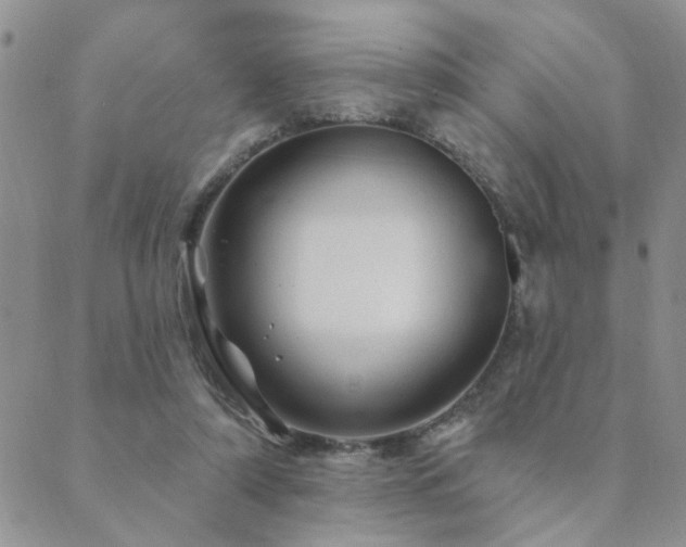 X0000089700306200706211325