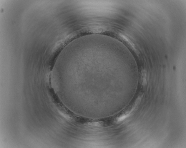 X0000089700307200706211325